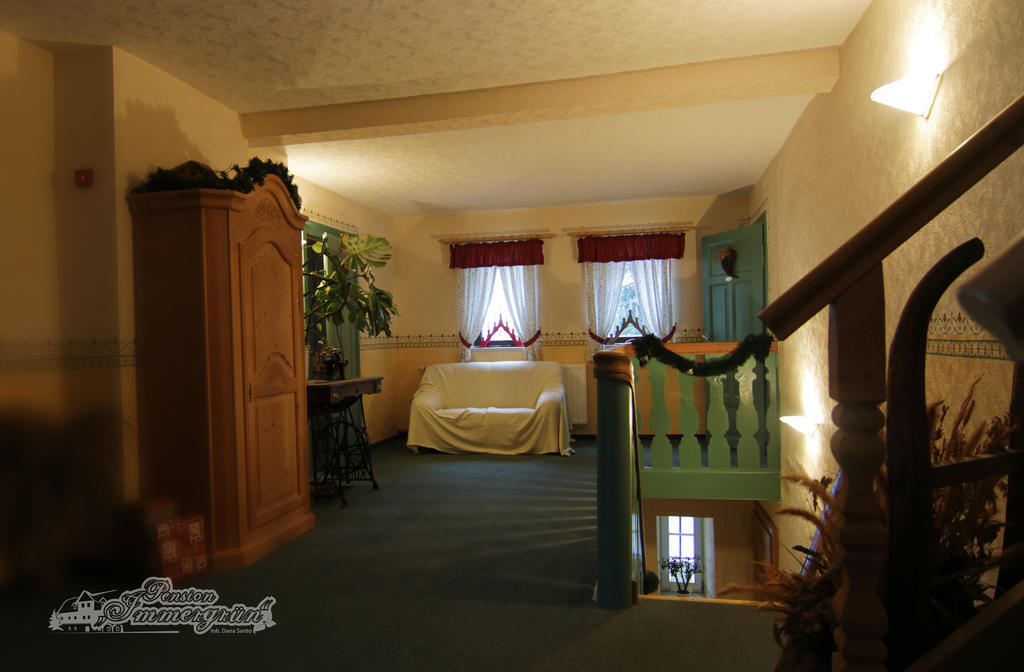 Pension Immergruen Курорт Йонсдорф Экстерьер фото